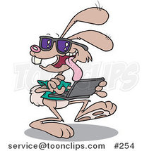 Cartoon Web Bunny Using a Laptop by Toonaday