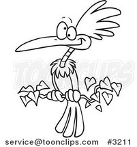Cartoon Black and White Line Drawing of an Exotic Bird Perched on a Branch by Toonaday