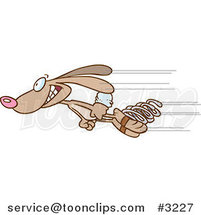 Cartoon Fast Rabbit Shooting past with Springs by Toonaday