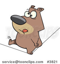 Cartoon Nervous Bear Walking a Tight Rope by Toonaday