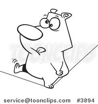 Cartoon Black and White Line Drawing of a Nervous Bear Walking a Tight Rope by Toonaday