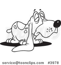 Cartoon Black and White Line Drawing of a Droopy Eared Basset Hound by Toonaday