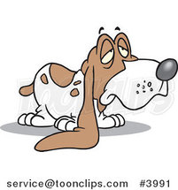 Cartoon Droopy Eared Basset Hound by Toonaday