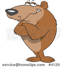 Cartoon Bear Standing with Folded Arms by Toonaday