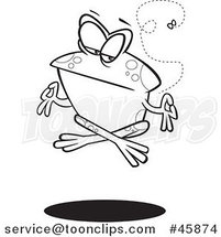 Cartoon Black and White Floating Meditating Frog and Fly by Toonaday