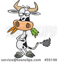 Cartoon Cow with Folded Arms, Munching on Carrots by Toonaday