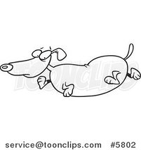 Cartoon Black and White Line Drawing of an Obese Wiener Dog by Toonaday