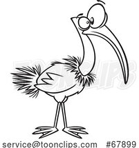 Cartoon Black and White Ibis Bird by Toonaday