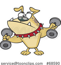Cartoon Tough Bulldog Working out with Dumbbells by Toonaday