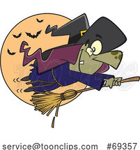 Cartoon Halloween Witch Flying on a Fast Broomstick by Toonaday