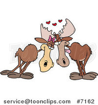 Cartoon Moose Pair in Love by Toonaday