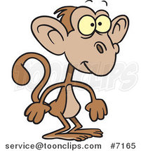 Cartoon Standing Monkey by Toonaday