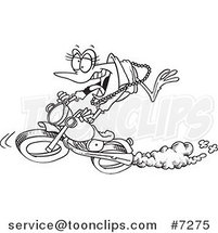 Cartoon Black and White Line Drawing of a Frog Biker Chick by Toonaday