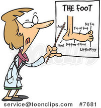 Cartoon Female Foot Doctor Pointing at a Chart by Toonaday