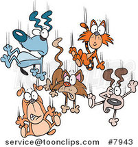 Cartoon Cats and Dogs Raining down by Toonaday