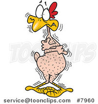 Cartoon Cold Featherless Chicken by Toonaday
