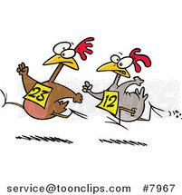 Cartoon Racing Chickens by Toonaday