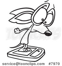 Cartoon Black and White Line Drawing of a Chihuahua on a Scale by Toonaday