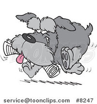 Cartoon Schnauzer Dog Fetching a Newspaper by Toonaday