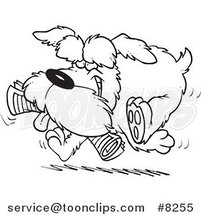 Cartoon Black and White Line Drawing of a Schnauzer Dog Fetching a Newspaper by Toonaday