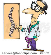 Cartoon Chiropractor by a Spine Chart by Toonaday