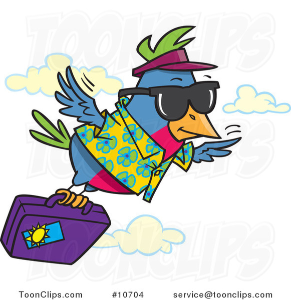 Birds With Luggage Cartoon