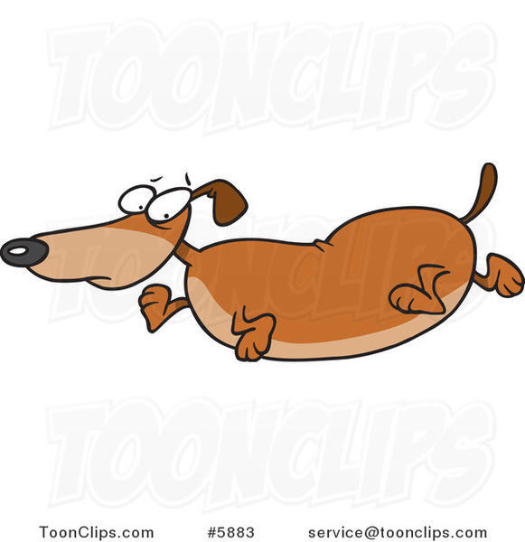 Cartoon Obese Wiener Dog #5883 by Ron Leishman