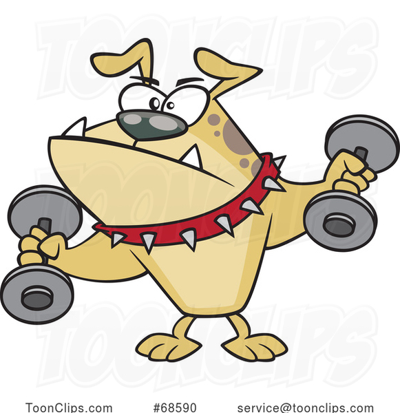 Cartoon Tough Bulldog Working out with Dumbbells