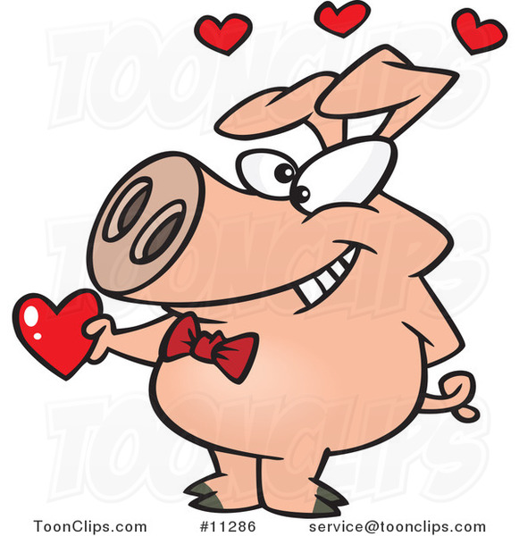Cartoon Valentine Pig Giving a Heart