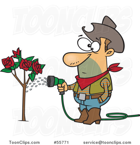 Cartoon White Cowboy Guy Watering a Rose Bush