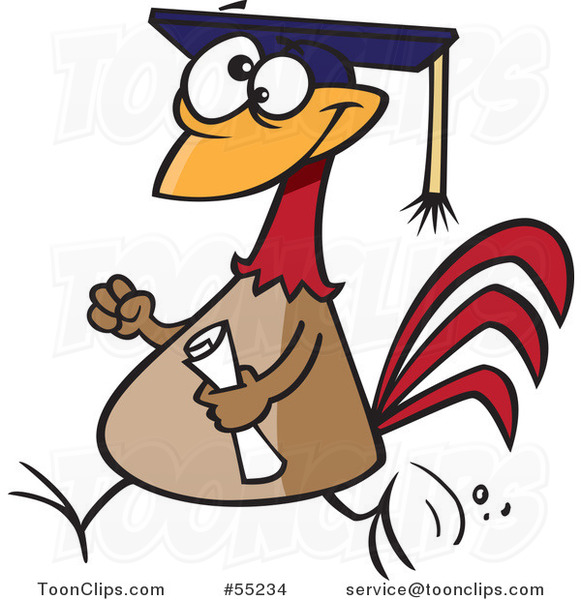 Proud Chicken Graduate Walking with a Cap and Diploma Cartoon #55234 by