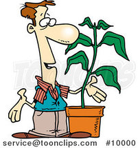 Cartoon Guy with a Potted Plant by Toonaday