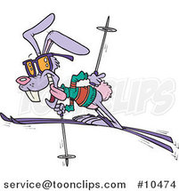 Cartoon Ski Rabbit by Toonaday