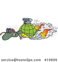 Cartoon Turbo Tortoise by Toonaday