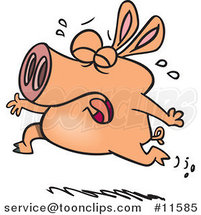 Cartoon Pig Crying and Running by Toonaday