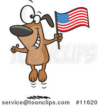 Cartoon American Dog Jumping by Toonaday