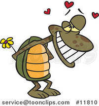 Cartoon Infatuated Tortoise Holding Flowers by Toonaday