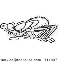 Cartoon Outlined Toothy Spider by Toonaday