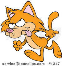 Cartoon Black and White Outline Design of a Mad Orange Cat Walking by Toonaday