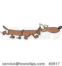 Long Cartoon Wiener Dog Using Training Wheels by Toonaday