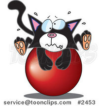 Cartoon Tuxedo Kitten on a Ball by Toonaday