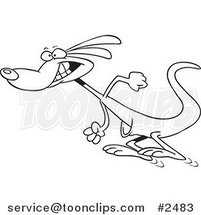 Cartoon Black and White Line Drawing of a Hopping Kangaroo by Toonaday