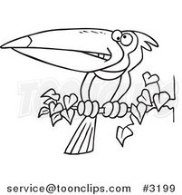 Cartoon Black and White Line Drawing of an Exotic Toucan Perched on a Branch by Toonaday