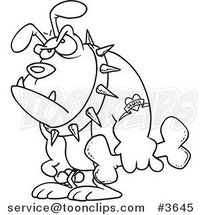 Cartoon Black and White Line Drawing of a Grumpy Bulldog Holding a Bone by Toonaday