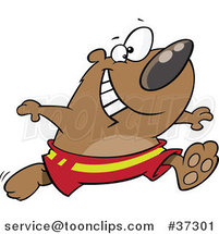 Cartoon Happy Bear Running in Swim Trunks by Toonaday