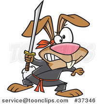 Cartoon Ninja Rabbit with a Sword by Toonaday