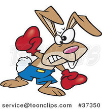 Cartoon Boxer Bunny Rabbit Punching by Toonaday