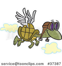 Cartoon Tortoise Flying with Pilot Goggles by Toonaday