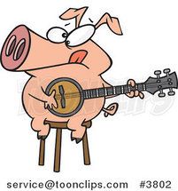 Cartoon Pig Sitting on a Stool and Playing a Banjo by Toonaday