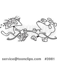 Cartoon Black and White Line Drawing of a Bull Dog and Cat Playing Tug of War by Toonaday